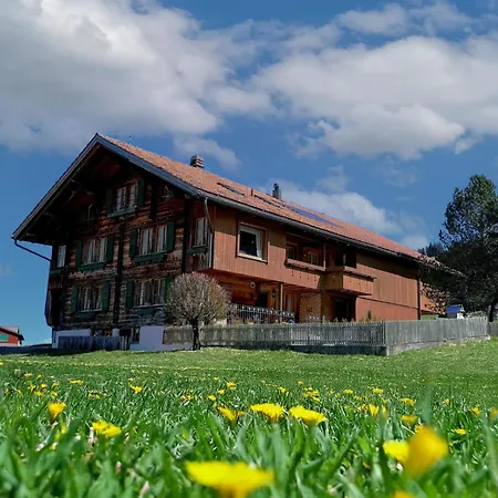 Apartment Flott Appartement-fewo- Dusche Und Bad- Wc- 1 Schlafraum 2-5-zimmerwohnung By Interhome Adelboden
